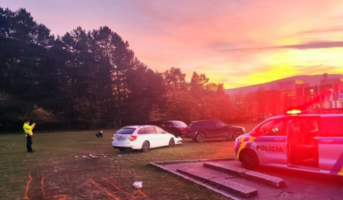 Vodič Audi pri Krematóriu zrazil chodkyňu, skončila v nemocnici (foto)