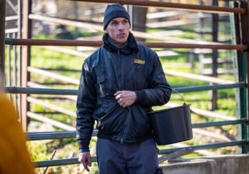 Zoologická záhrada v Bratislave organizuje komentované kŕmenie aj počas vianočných sviatkov