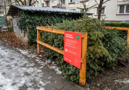Vianočné stromčeky dostali druhý život. Bratislava ich využila do poslednej triesky, zmenili sa na knižnice a mulč