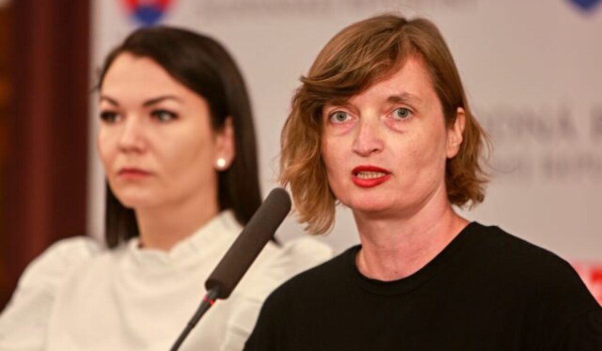 Progresívci podávajú podnet na Ústavný súd SR v súvislosti s prijatou novelou zákona o mimovládkach – VIDEO