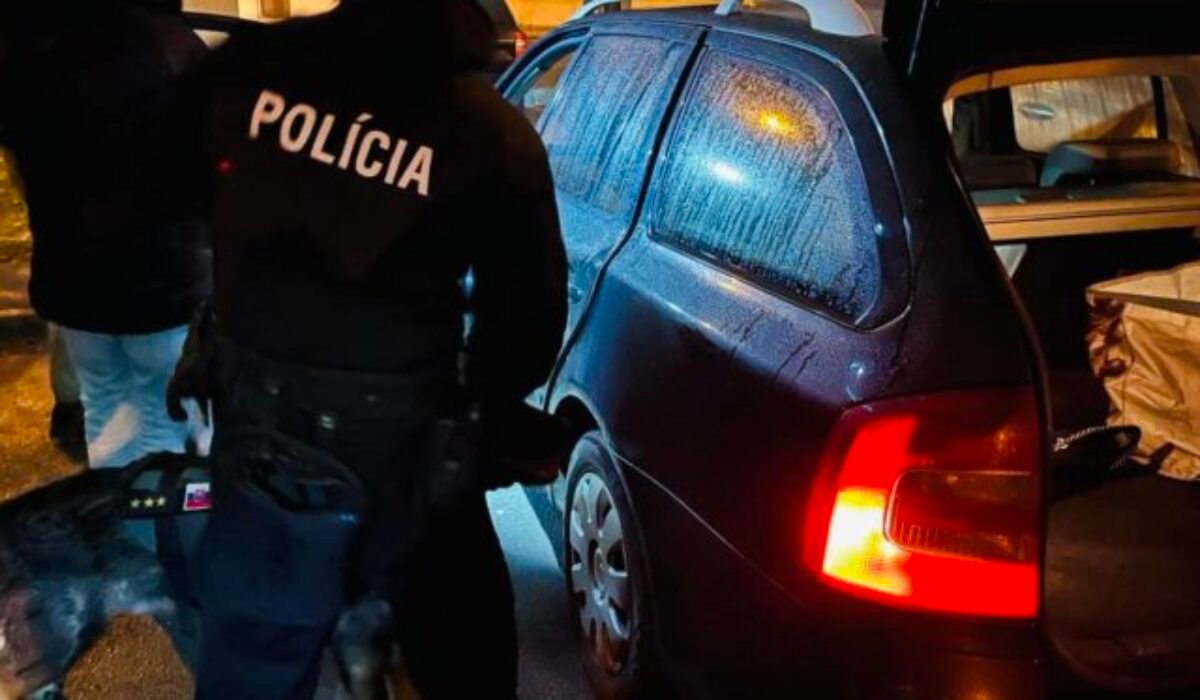 Protidrogová akcia Piknik bola úspešná, polícia zadržala deväť ľudí podozrivých z trestnej činnosti – FOTO