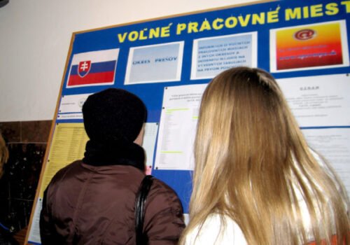 Projekt Práca namiesto dávok je diskriminačný, tvrdí SaS, strana ponúka vlastné systémové riešenie