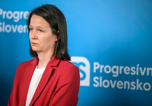 Poslankyňa Števulová kritizuje fungovanie cudzineckej polície, cudzinci si musia kupovať termíny – VIDEO
