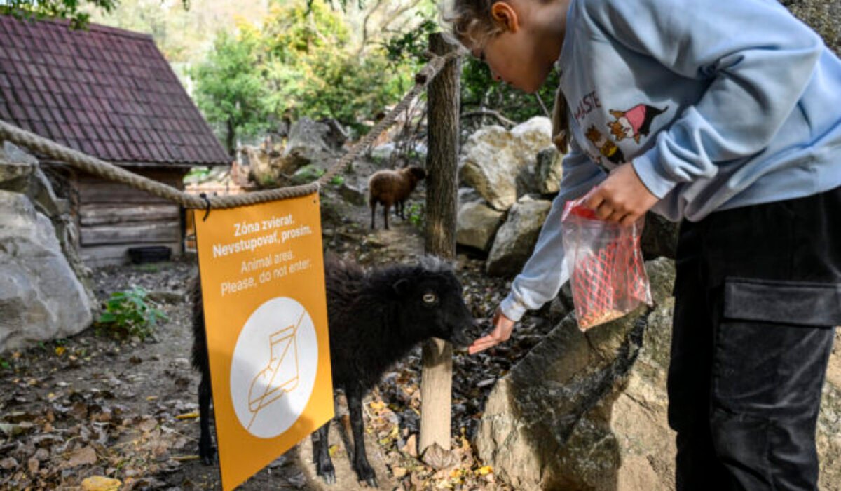 Bratislavská ZOO žiada o pomoc, v dôsledku opatrení pre slintačku a krívačku príde o tisíce eur