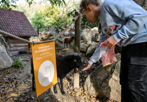Bratislavská ZOO žiada o pomoc, v dôsledku opatrení pre slintačku a krívačku príde o tisíce eur