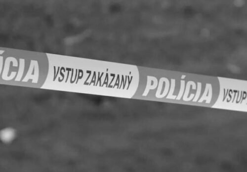 Celá Nitra mi ubližuje, povedal vodič po zrazení 77-ročnej cyklistky. Žena zraneniam podľahla