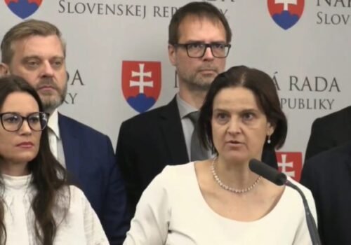 Vláda útočí na mimovládne organizácie. Kolíková vyzýva koaličných poslancov, aby zákon nepodporili – VIDEO