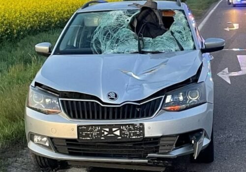 Tragédia pri Seredi. Chodec bez reflexných prvkov zomrel po zrážke s autom – FOTO