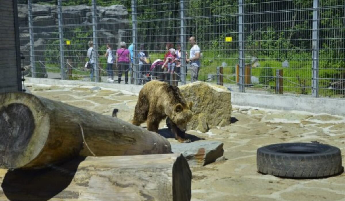 ZOO v Spišskej Novej Vsi otvoria s mesačným oneskorením, pre návštevníkov sú pripravené novinky