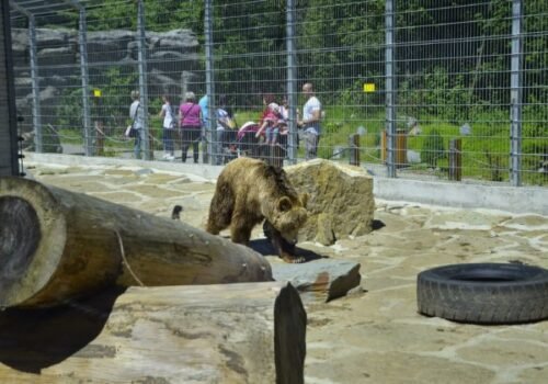ZOO v Spišskej Novej Vsi otvoria s mesačným oneskorením, pre návštevníkov sú pripravené novinky