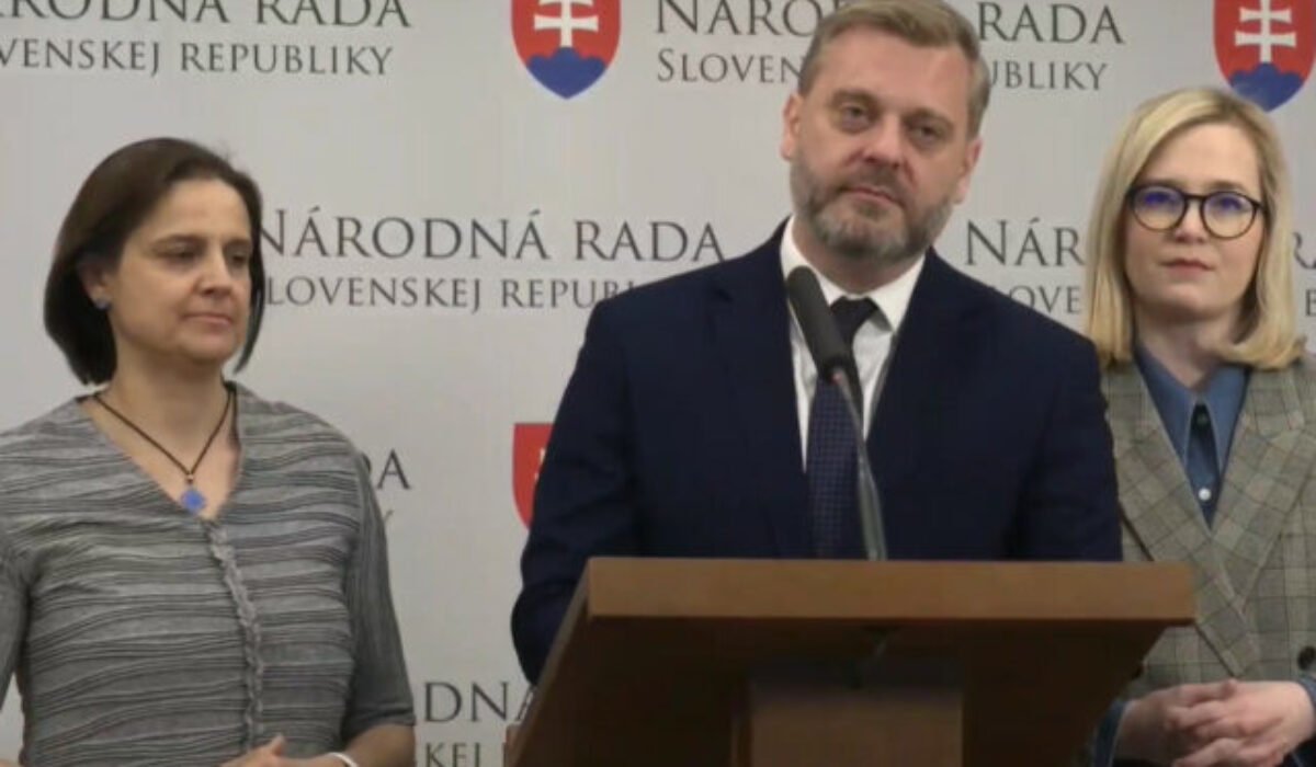 Ombudsman odhalil policajnú brutalitu, potrebujeme nezávislý systém na vyšetrovanie – VIDEO
