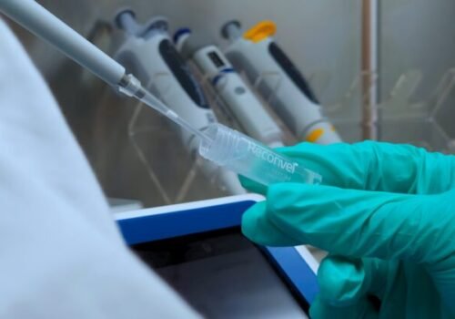 Nízkomolekulové prírodné extrakty s obsahom peptidov ukazujú nádej v boji proti rakovine