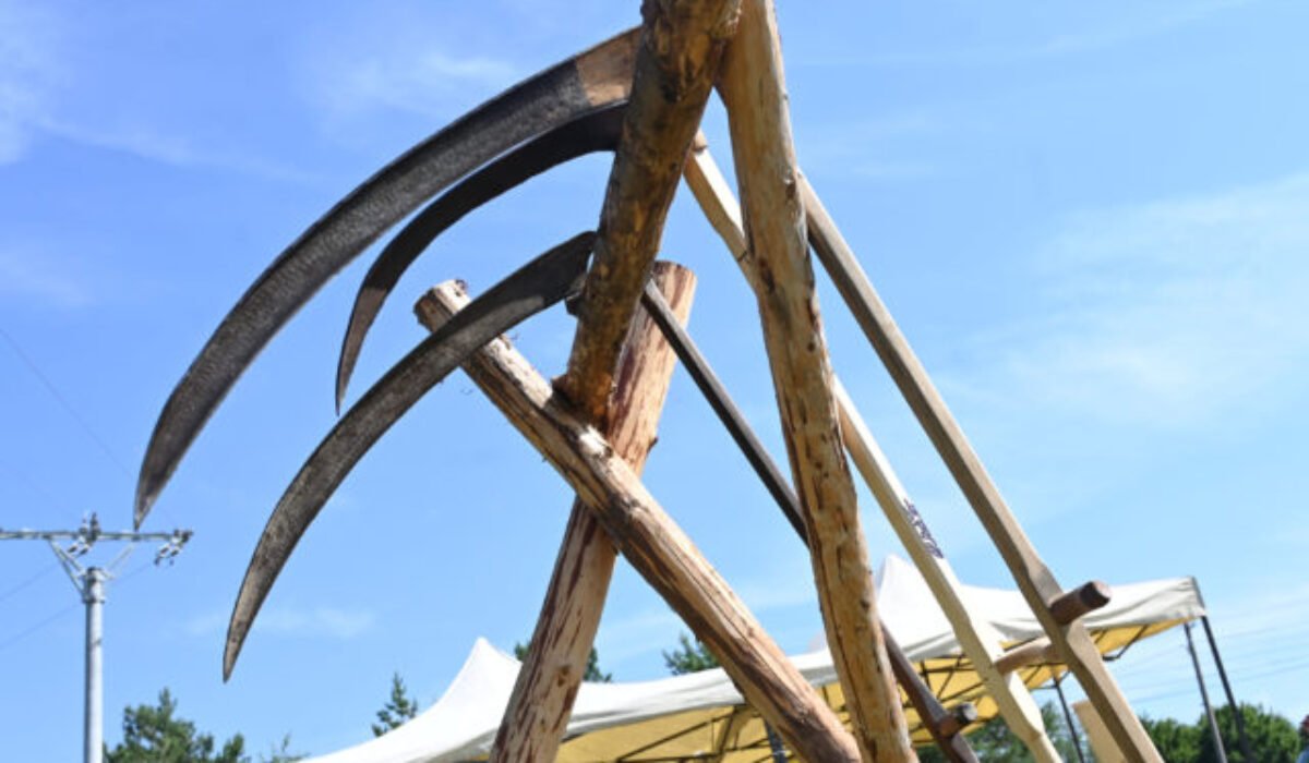Pod hradom vo Veľkom Šariši sa na Deň detí bude kosiť ako za starých čias