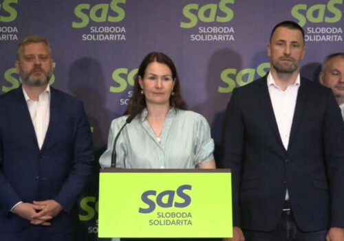 SaS kritizuje cyrilometodské oslavy na Devíne za 750-tisíc eur, hovorí o papalášizme – VIDEO
