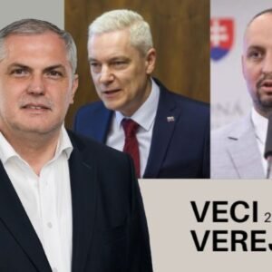 Kto a prečo (nateraz) „potopil“ novelu ústavy v kultúrno-etických otázkach?