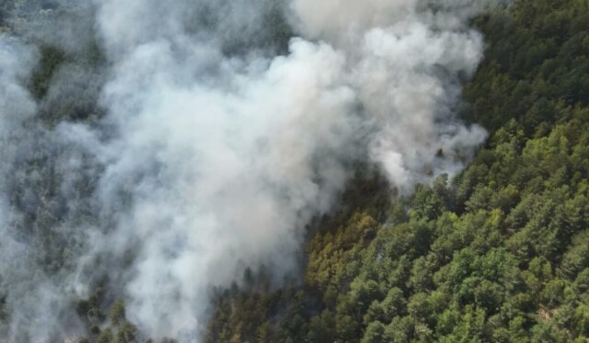 Pri požiari lesa v obci Richnave zasahujú hasiči aj vrtuľník ministerstva obrany – FOTO