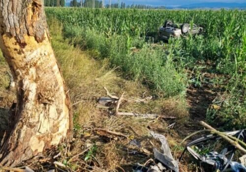 Tragická dopravná nehoda v okrese Levice, vodič neprežil náraz do stromu – FOTO