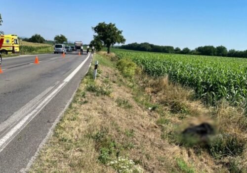 Pri Komjaticiach našli mŕtveho muža a poškodenú motorku, polícia zisťuje jeho totožnosť – FOTO