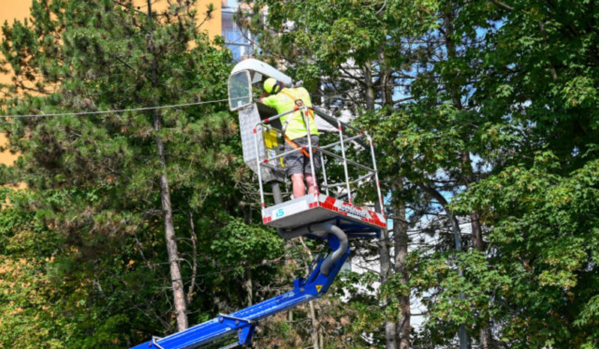 17256_68821b2b61eb7611226305-640x420.jpg Modernizácia verejného osvetlenia v Martine pokračuje podľa plánu, vymenia tisíce svietidiel – FOTO