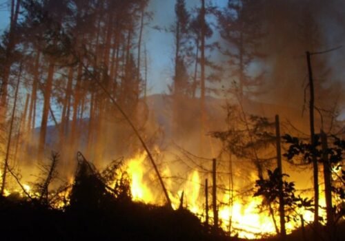 Od najväčšieho požiaru v histórii Tatranského národného parku uplynulo dvadsať rokov