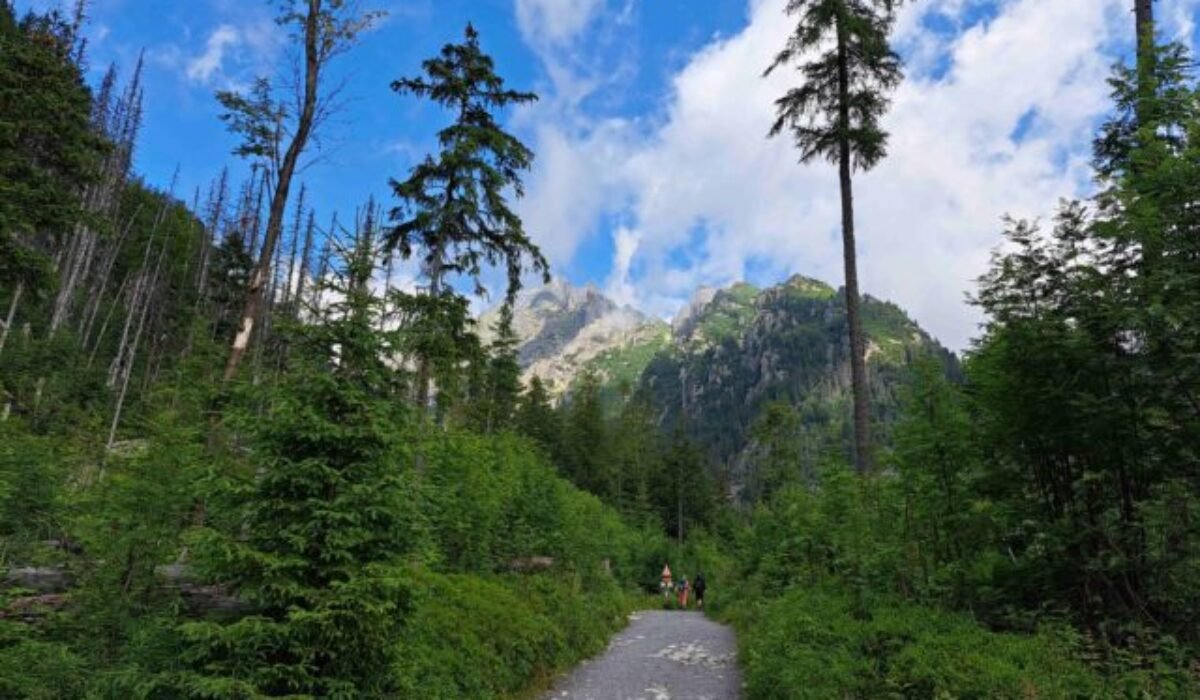Správa TANAP-u kontrolovala dodržiavanie návštevného poriadku, skontrolovala desiatky horských vodcov i turistov