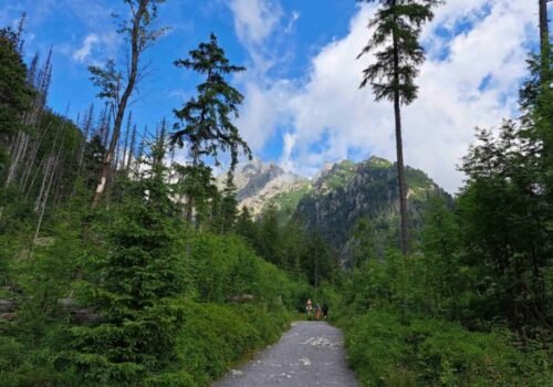 Správa TANAP-u kontrolovala dodržiavanie návštevného poriadku, skontrolovala desiatky horských vodcov i turistov