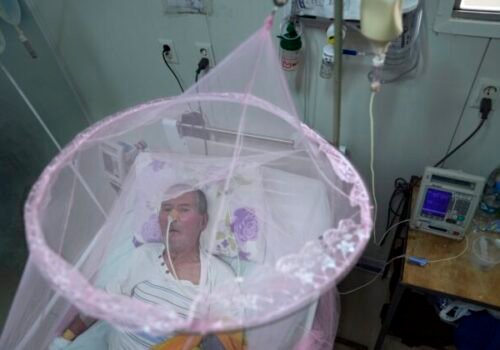 Vírus chikungunya nakazil v Číne tisíce ľudí, niektoré opatrenia pripomínajú COVID-19