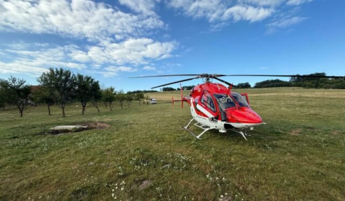 Záchrana zvieraťa sa skončila tragicky, muž utrpel smrteľné zranenia pri pokuse oslobodiť jeleňa – FOTO