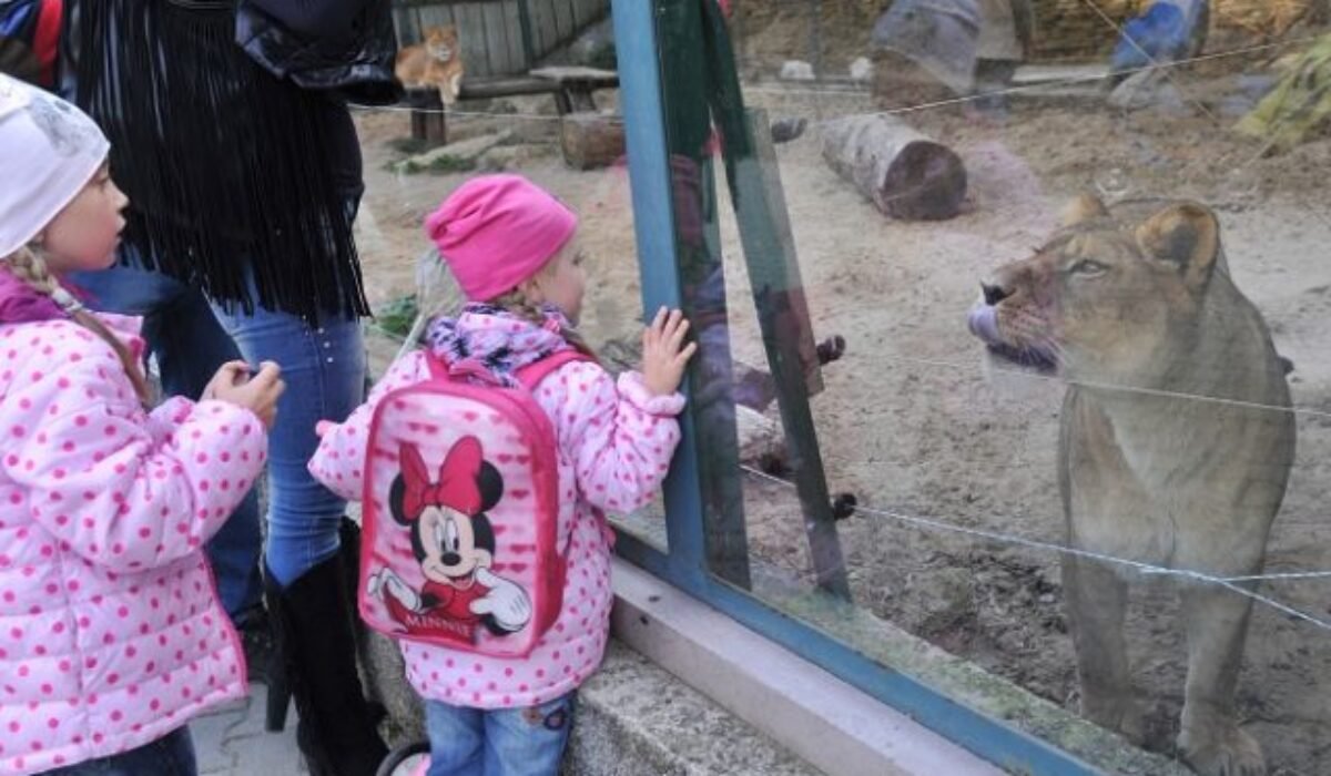 ZOO Bratislava otvára nové krúžky pre deti. Čakajú ich výpravy do divočiny, stretnutia so zvieratami aj záchranné programy