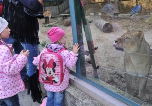ZOO Bratislava otvára nové krúžky pre deti. Čakajú ich výpravy do divočiny, stretnutia so zvieratami aj záchranné programy