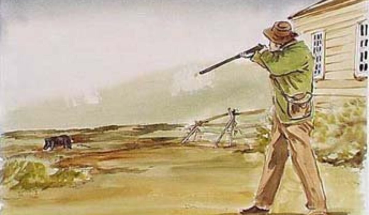 the-pig-war-89165bf74e859cda Vojna, pri ktorej padlo… jedno prasa