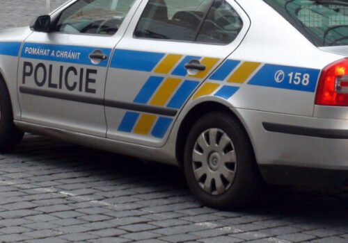 Bol to eštebák, kričal dôchodca na Babišovom mítingu pri Plzni
