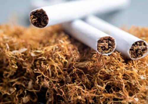 Krížová výprava proti tabaku. Európski obchodníci sa búria proti návrhom WHO