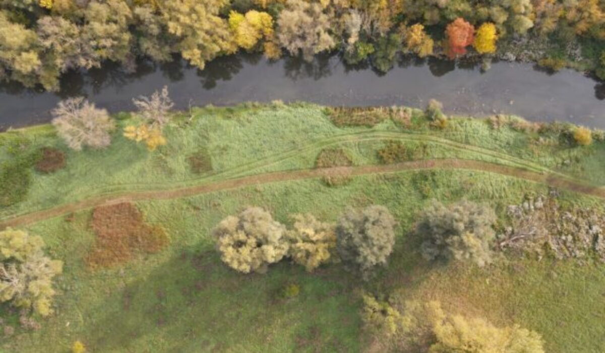 Nádej pre slovenskú prírodu: Projekt Prepojená krajina zapustil prvé korene