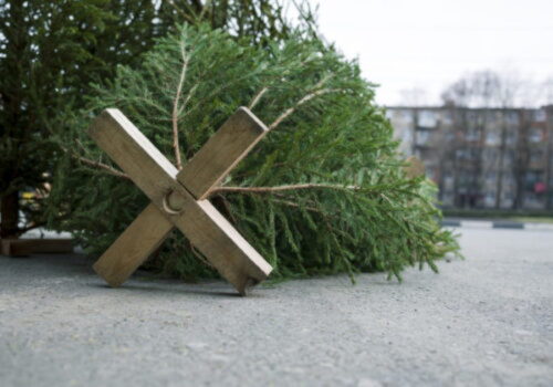 Lesy SR rozžiarili sviatky v parlamente aj prezidentskom paláci, stromčeky darovali aj stovkám detí a seniorov