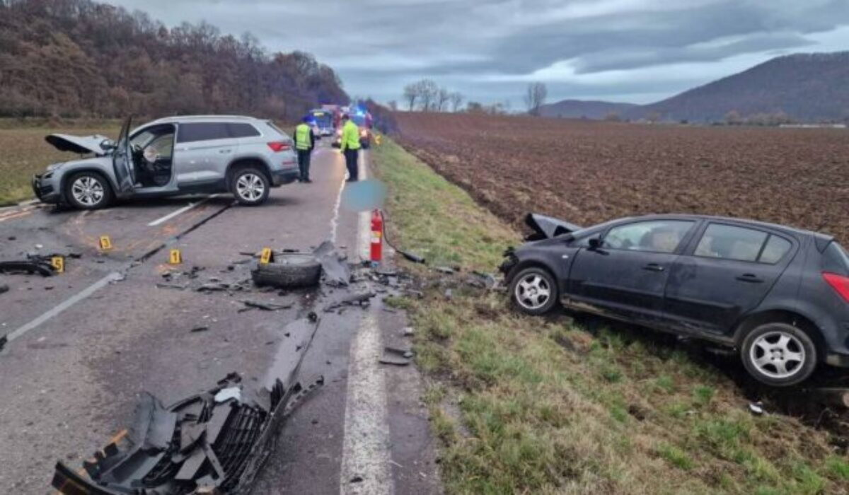 Tragická dopravná nehoda si vyžiadala život spolujazdca, vodičke vbehla do cesty lesná zver – FOTO