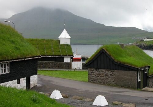 🌿 Zelená Strecha: Budúcnosť Bývania a Ekologický Zázrak