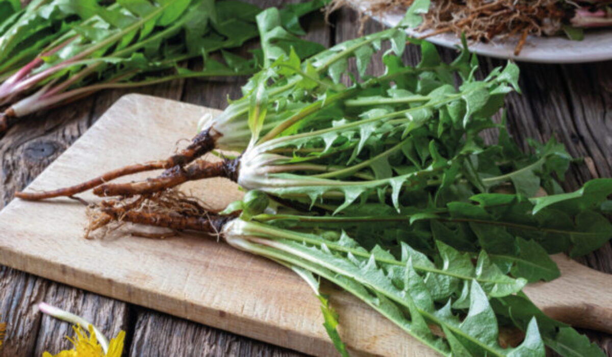 Táto „obyčajná burina“ môže zachrániť vašu pečeň aj trávenie