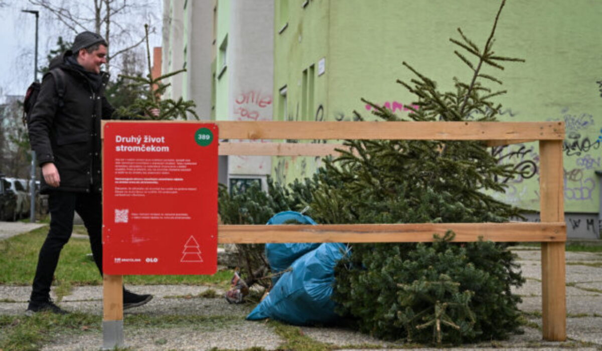 Vianoce ešte neprišli a v Bratislave už rozmiestňujú ohrádky na stromčeky, ktoré sa ďalej zužitkujú