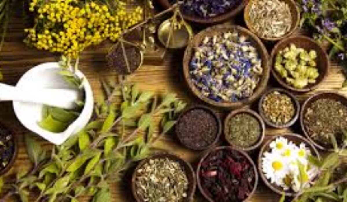 Bylinkový kalendár: zimná sila prírody mesiac po mesiaci