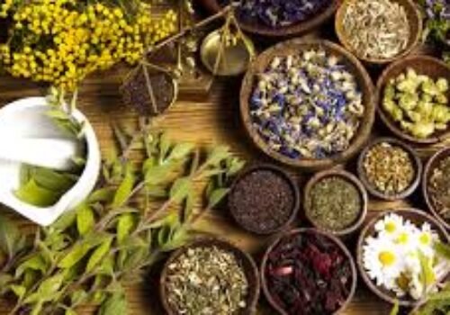 Bylinkový kalendár: zimná sila prírody mesiac po mesiaci