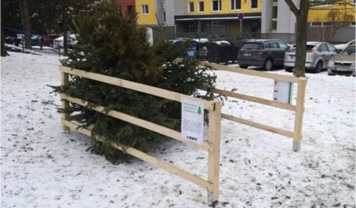 32005_titulka-ke-3-640x420.jpg Košice rozbehli zber vianočných stromčekov, občania ich môžu odkladať ku kontajnerom alebo do ohrádok