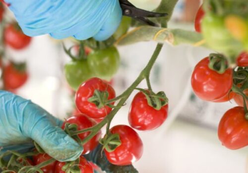 Kvalita bez kompromisov sa oplatí