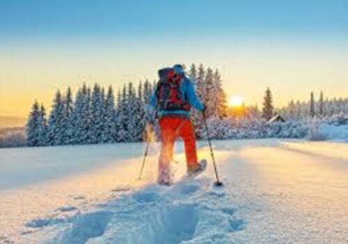 ❄️ 11.január : Návrat k pohybu: Jemné zimné cvičenia, ktoré rozohrejú telo aj myseľ