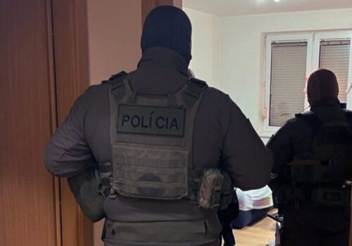 Policajti v rámci akcie SÁVA chytili srbskú prevádzačku, hrozí jej osem rokov väzenia – FOTO