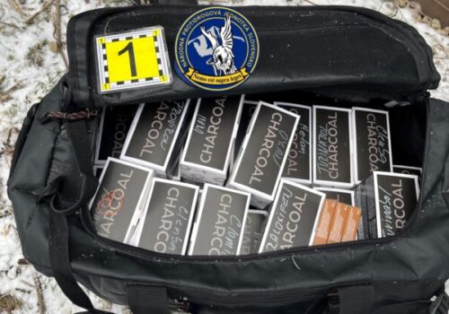 Policajti zaistili počas akcie Cézar tisíce nelegálnych anabolík, jedna zadržaná osoba je v trestnom konaní známa