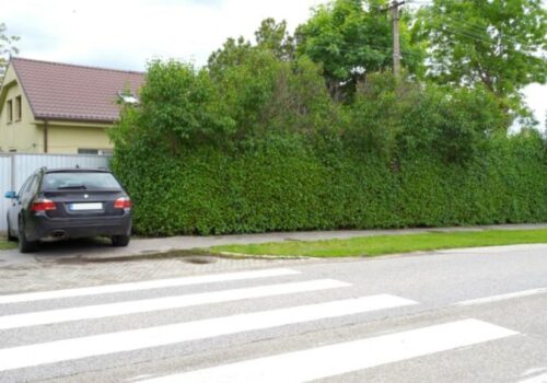 Trnavský kraj neuspel. Súd rozhodol, že Čistý deň mu nemusí vrátiť vypožičanú budovu