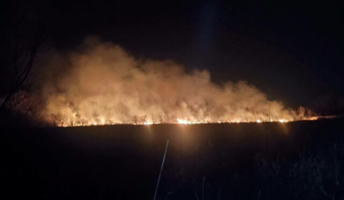 Požiar v areáli Trnavských rybníkov zamestnal hasičov, plamene zasiahli veľkú plochu porastu – FOTO