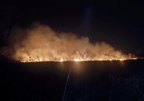 Požiar v areáli Trnavských rybníkov zamestnal hasičov, plamene zasiahli veľkú plochu porastu – FOTO
