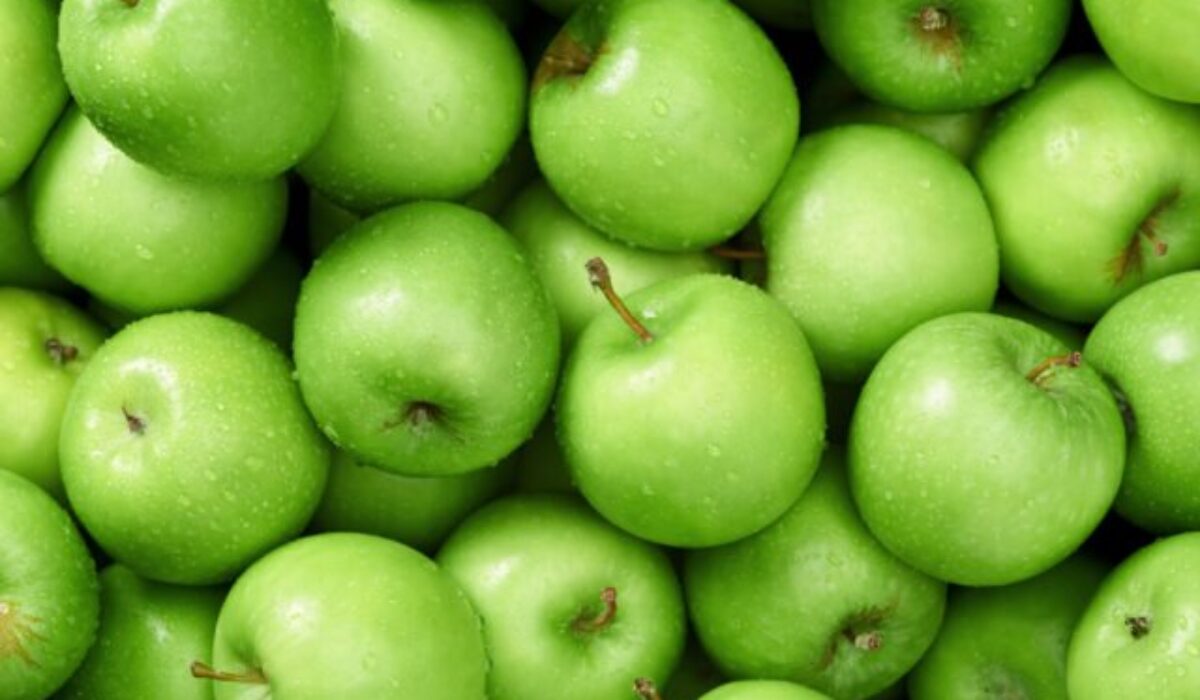 Lidl testuje čerstvosť v rámci kreatívnej aktivácie na sociálnych sieťach „The Beat of Freshness“